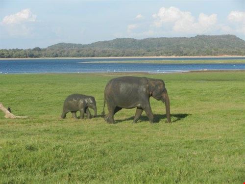  Polonnaruwa sabrina sabrina